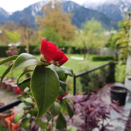 Premier Pahalgam Hotel Exterior photo