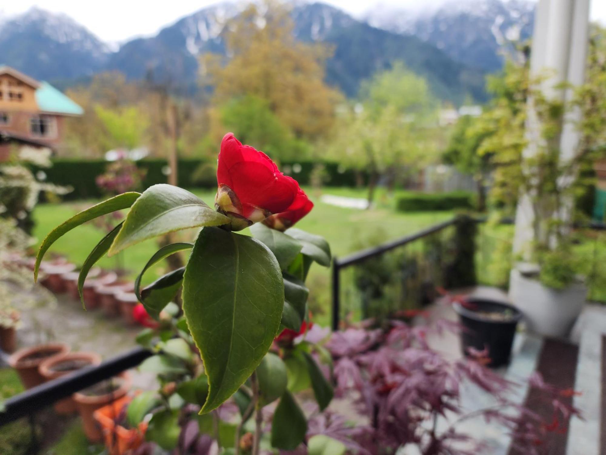 Premier Pahalgam Hotel Exterior photo